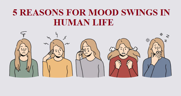 5 REASONS FOR MOOD SWINGS IN HUMAN LIFE